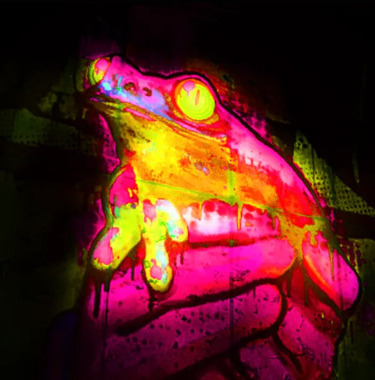 Oggeq